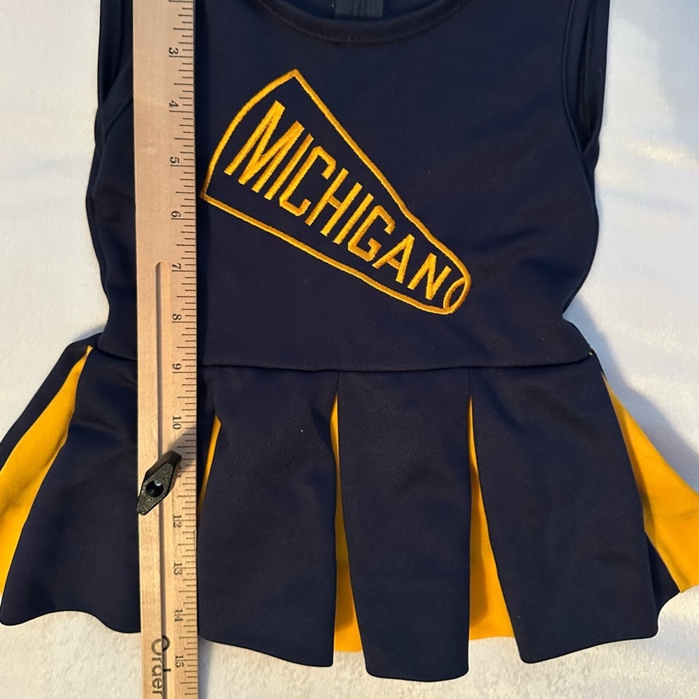 Vintage Michigan Wolverines Baby Cheerleader Jumper Dress Embroidered 2T Girl - Picture 3 of 7